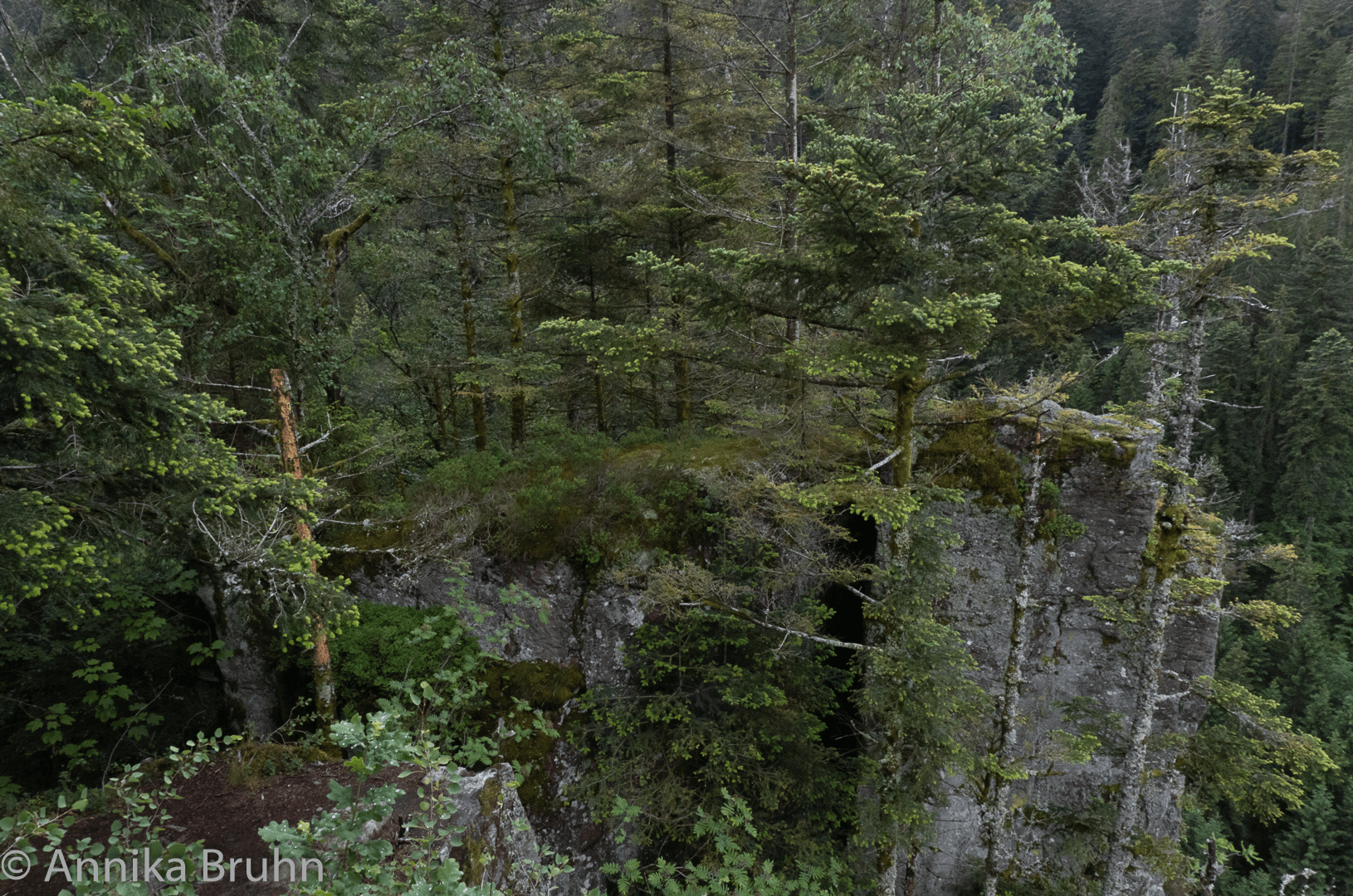 Blick ins Tal